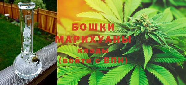 дурь Арсеньев