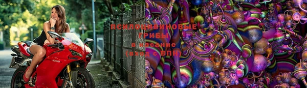 дурь Арсеньев