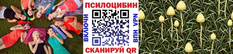 Галлюциногенные грибы GOLDEN TEACHER Пучеж