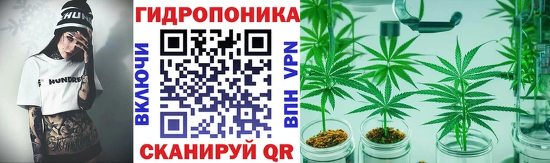 блэк спрут маркетплейс  Пучеж  Конопля OG Kush 